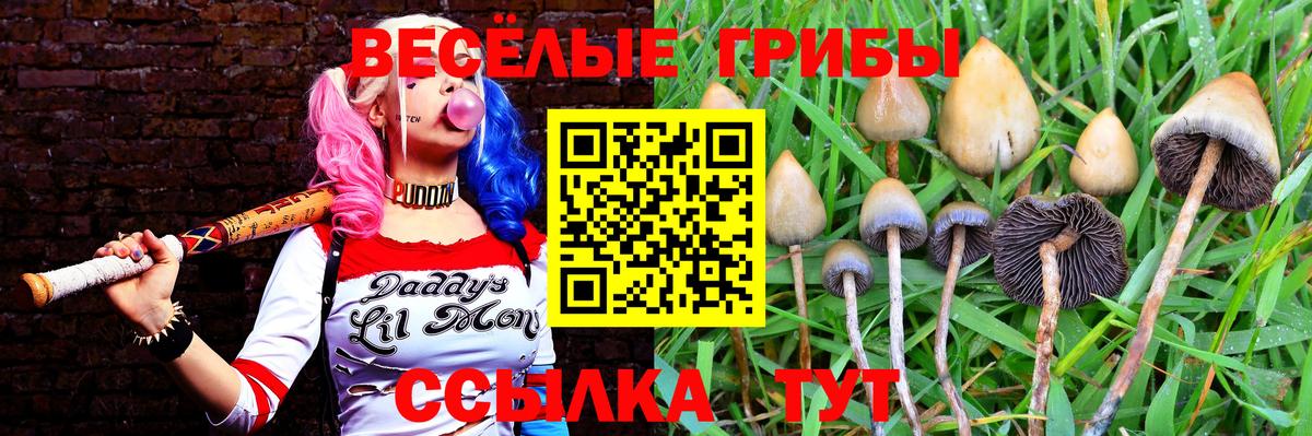 Псилоцибиновые грибы Psilocybe  купить закладку  Мурманск  Вход с VPN 
